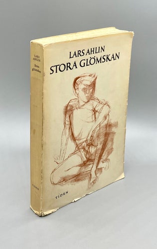 Stora glömskan - Zackarias första bok av Lars Ahlin