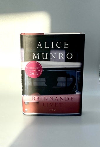 Brinnande livet av Alice Munro