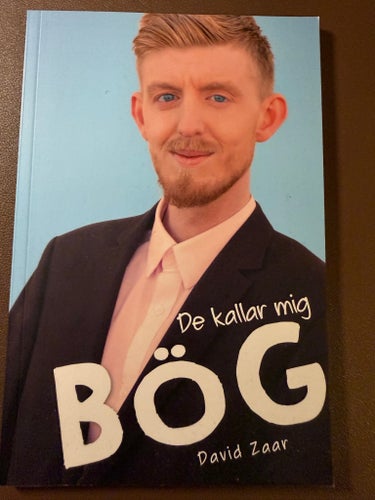 De kallar mig bög - David Zaar