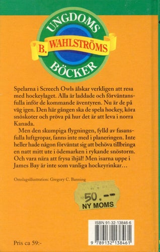 Roy MacGregor: Äventyr på isen (ishockey)