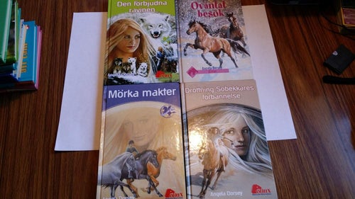 Bok: Angela Dorsey: 4 hästböcker (Se titlar nedan)