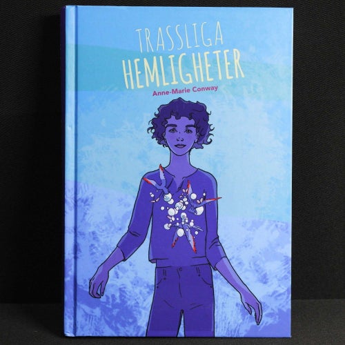 Anne-Marie Conway - Trassliga hemligheter
