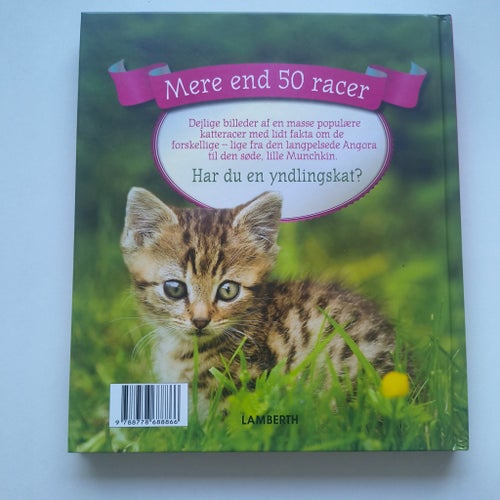 Katter Och Kattungar Bok Mer Än 50 Raser Hårdpärm Lamberth Faktabok