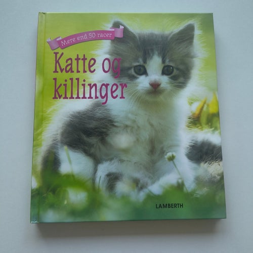 Katter Och Kattungar Bok Mer Än 50 Raser Hårdpärm Lamberth Faktabok