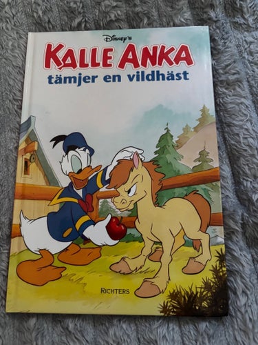 Kalle Anka tämjer en vildhäst, Walt Disney Company, 1999
