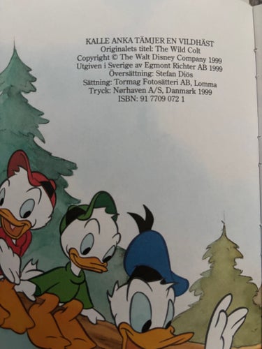Kalle Anka tämjer en vildhäst, Walt Disney Company, 1999