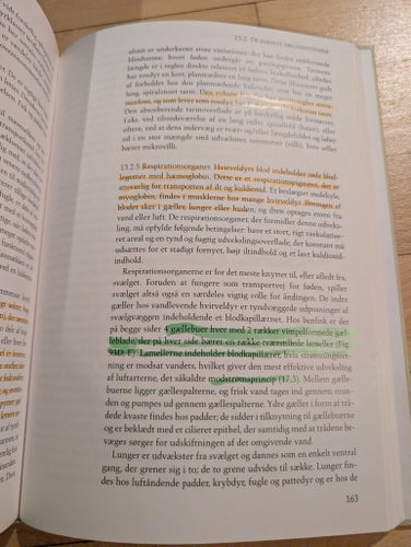 Zoologisk Morfologi av Åse Jespersen och Jørgen Lützen
