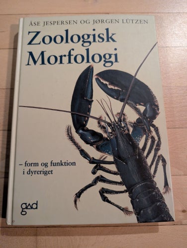 Zoologisk Morfologi av Åse Jespersen och Jørgen Lützen