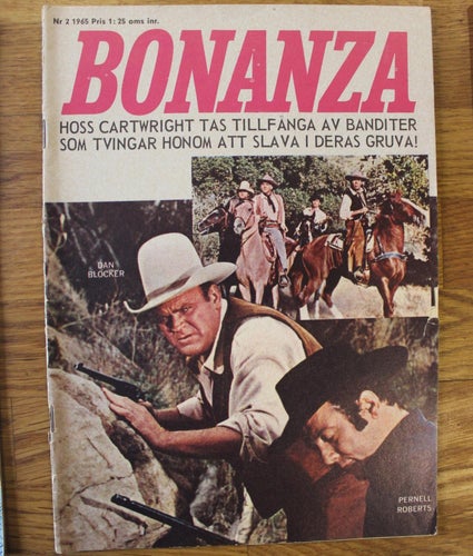 Bonanza 1965 NR 2