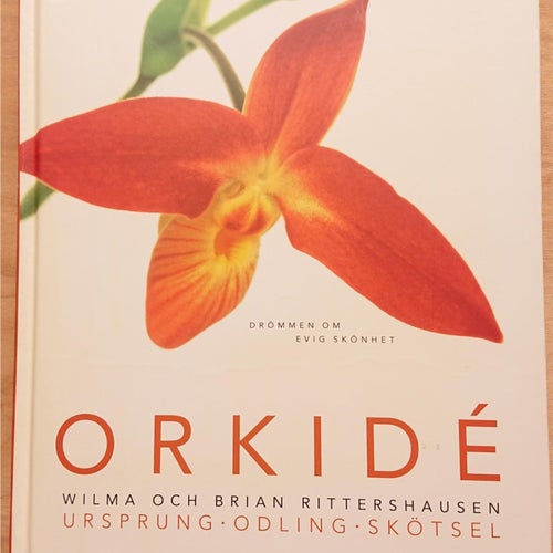 Orkidé, Drömmen om evig kärlek, Bok