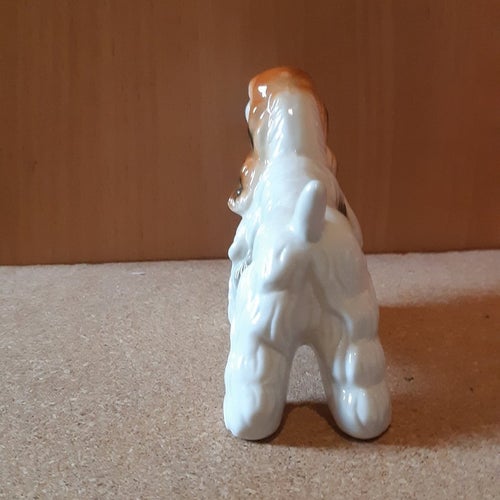 Amerikansk Cocker Spaniel