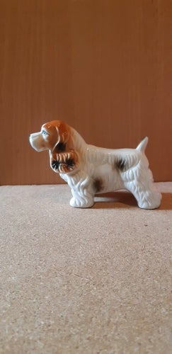 Amerikansk Cocker Spaniel