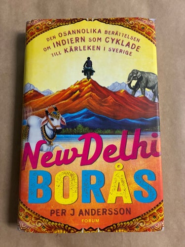 New Delhi Borås av Per J Andersson