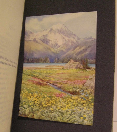 Flemwell G. : The Flower-fields of alpin Switzerland.