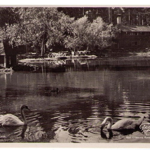 MOTIV: FALUN STADSPARKEN