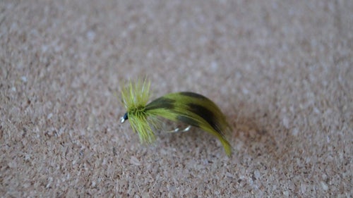 Europa 12 oliv 12