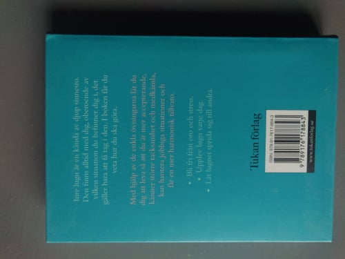 En liten bok om inre lugn av Ashley Davis Bush