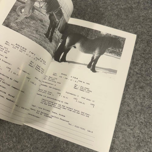 Föreningen nordsvenska hästen - Hingstkatalog 1999