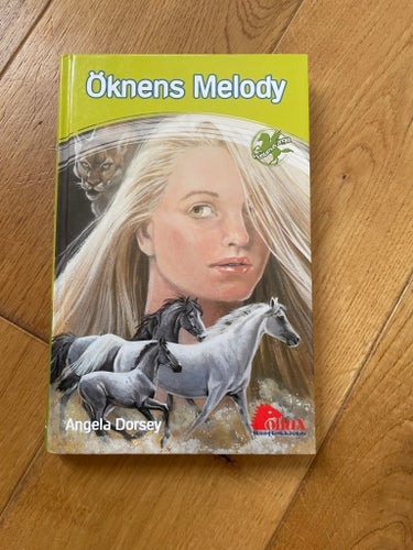 Öknens Melody av Angela Dorsey, häst, Pollux