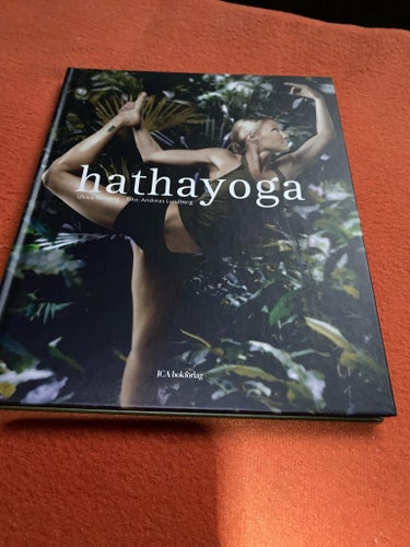 Hathayoga av Ulrica Norberg, 2004