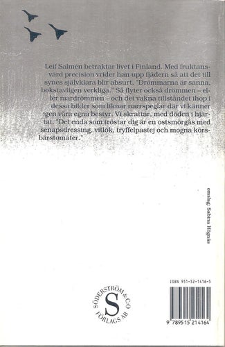 Leif Salmén: Livet i förorten.