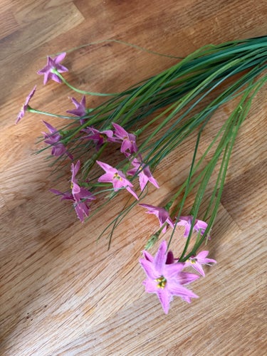 Konstgjorda blommor - Rosa stjärnblommor