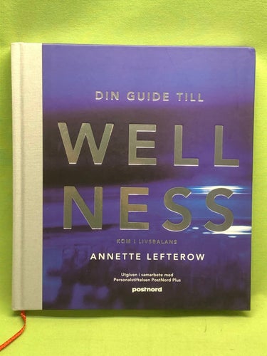 Din guide till wellness kom i livsbalans / Lefterow, Annette