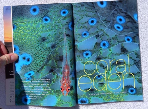 National geographic, January 1999 – coral, anacondas, ravens, Popocatépetl