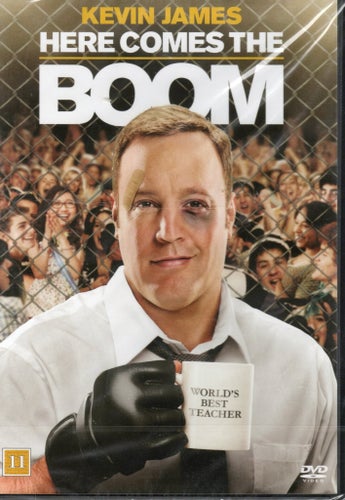 Here Comes the Boom (DVD)
