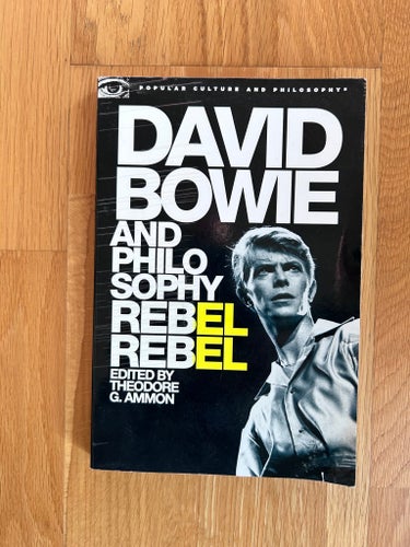 David Bowie and Philosophy: Rebel Rebel av Theodore G. Ammon, 2005