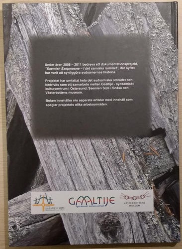 Ett steg till på vägen: resultat och reflexioner kring ett dokumentations...