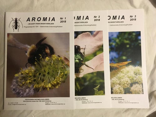 Aromia - En Doft Av Insektsvärlden. VEK - Västsvenska EntomologKlubben 2018