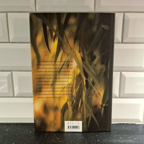 Det Heliga Landet - en pilgrimsbok