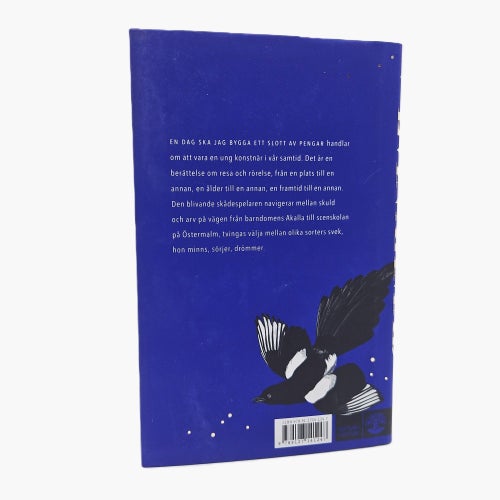 En dag ska jag bygga ett slott av pengar - Evin Ahmad