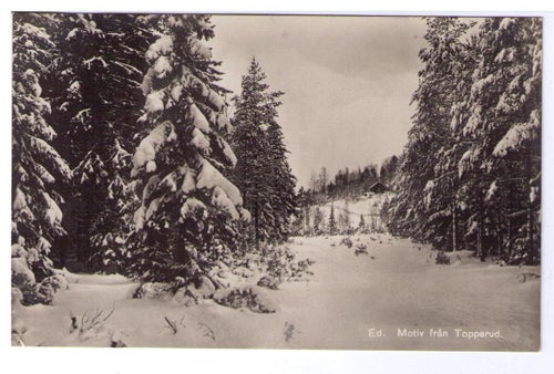 MOTIV: ED, TOPPERUD