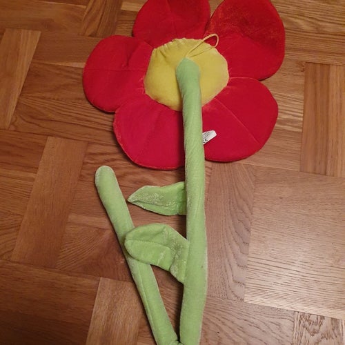 Mjukisblomma
