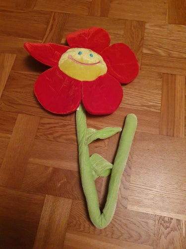 Mjukisblomma