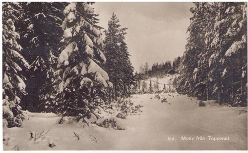 MOTIV: T0PPERUD