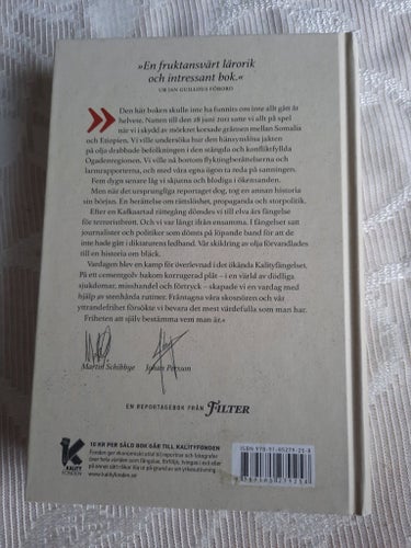 438 Dagar: Johan Persson & Martin Schibbye - Var berättelse om storpolitik,