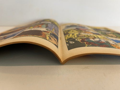 Illustrerade Klassiker Nr 21