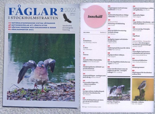 Fåglar i Stockholmstrakten, 2/2022