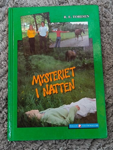 Mysteriet i natten av R.E. Toresen, 1999