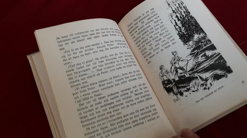 bok DEN SOMMAREN GLÖMMER VI ALDRIG 1946