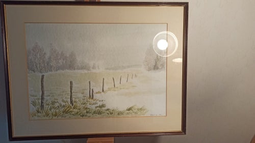 BENGT ANDERSSON,MKT FINT SKICK MÅTT 62*47 CM. INKL. RAM .