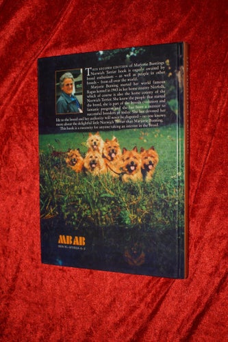 HUND NORWICH TERRIER FINT FOTO ILLUST FAKTA HISTORIA UTSTÄLLNING TIPS MYCKET FIN