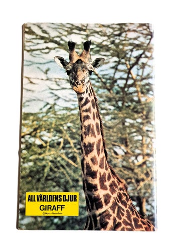 FÖRSTANUMMER! LASSIE 1980 nr 1 INKL SAMLARBILD GIRAFF SEMIC HUNDAR REA!