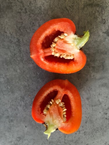 Paprika sorten heter ontara