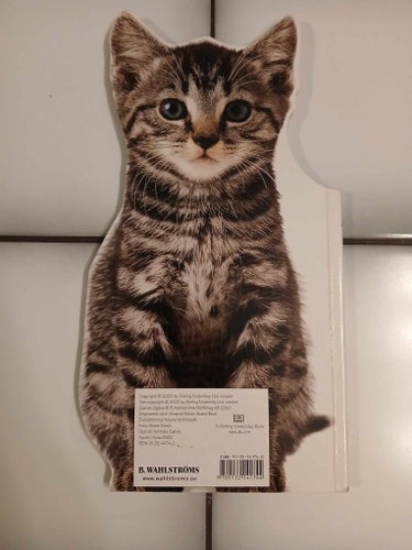 Kattunge av DK Publishing, 2000