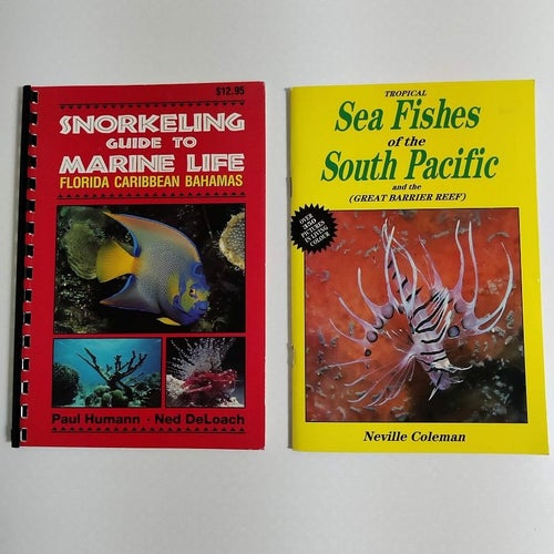 Tropical Sea Fishes South Pacific + Snorkeling Marine Life Florida...