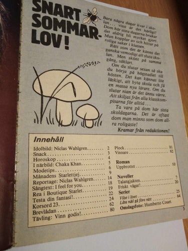 Starlet 1985 nr 23 idolbild Niclas Wahlgren. i närbild Chaka Khan